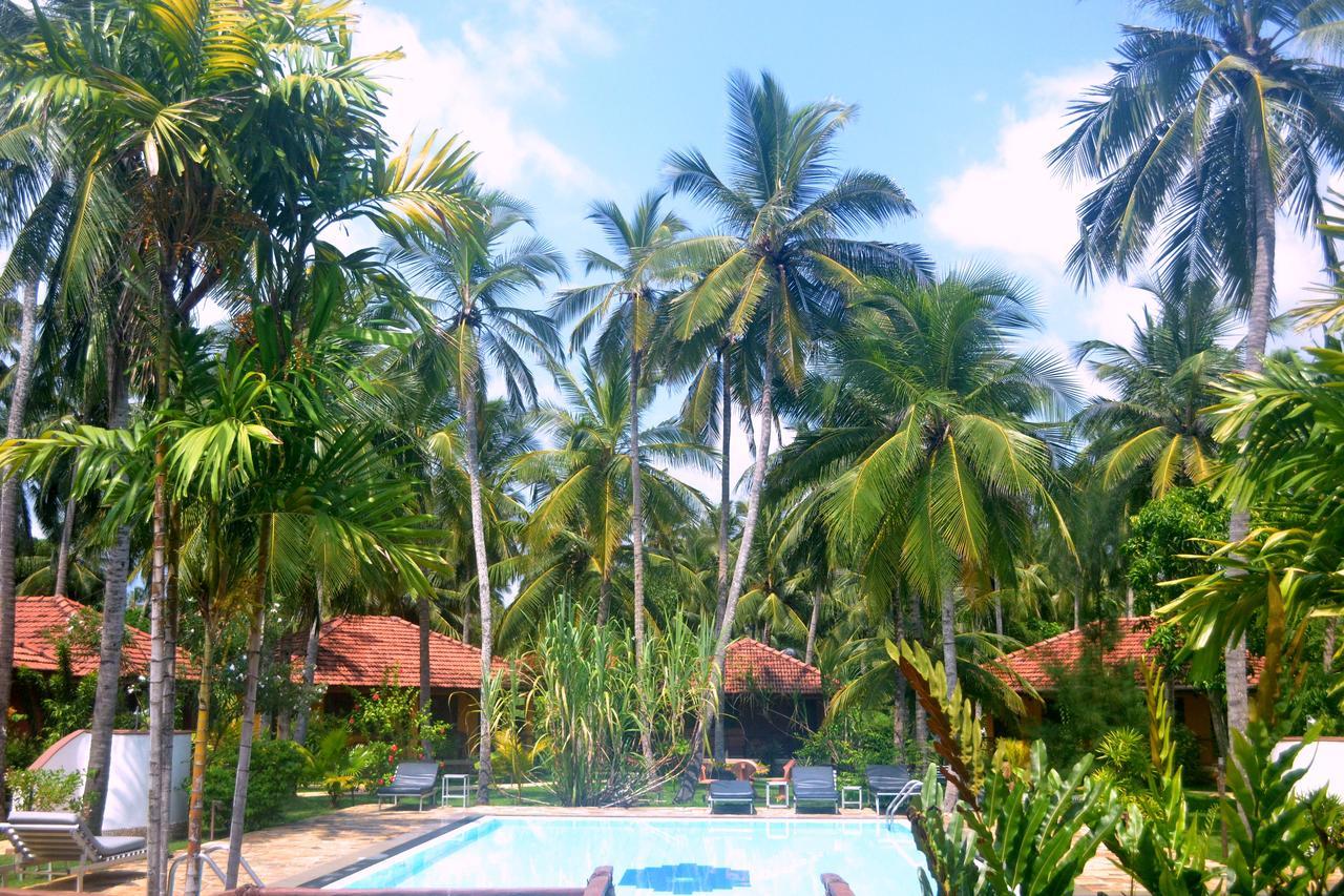 Puetz Travels Beach Resort Wayikkal Exterior photo